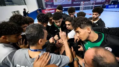 كرة يد.. ماذا تفعل مصر عند الوصول إلى النهائيات؟