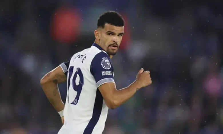 مدرب توتنهام يرغب في التخلص من سولانكي
