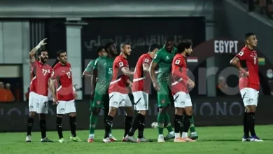 مصر من بينهم.. تأشيرة مجانية لـ4 دول في أمم أفريقيا