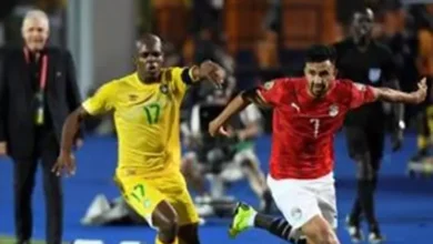منافس مصر.. زيمبابوي تواجه الجزائر وقطر وديًا