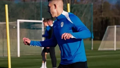 بعد السوبر.. جراديشار ينضم لتدريبات سلوفينيا