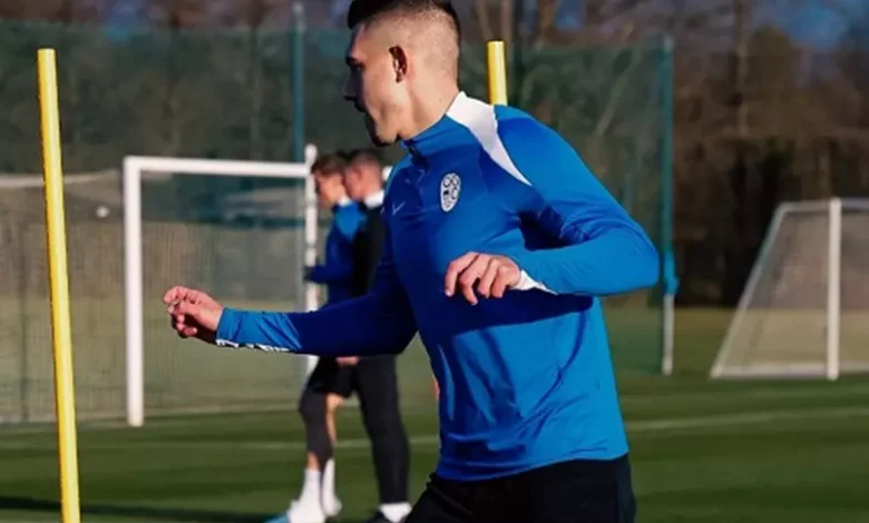 بعد السوبر.. جراديشار ينضم لتدريبات سلوفينيا